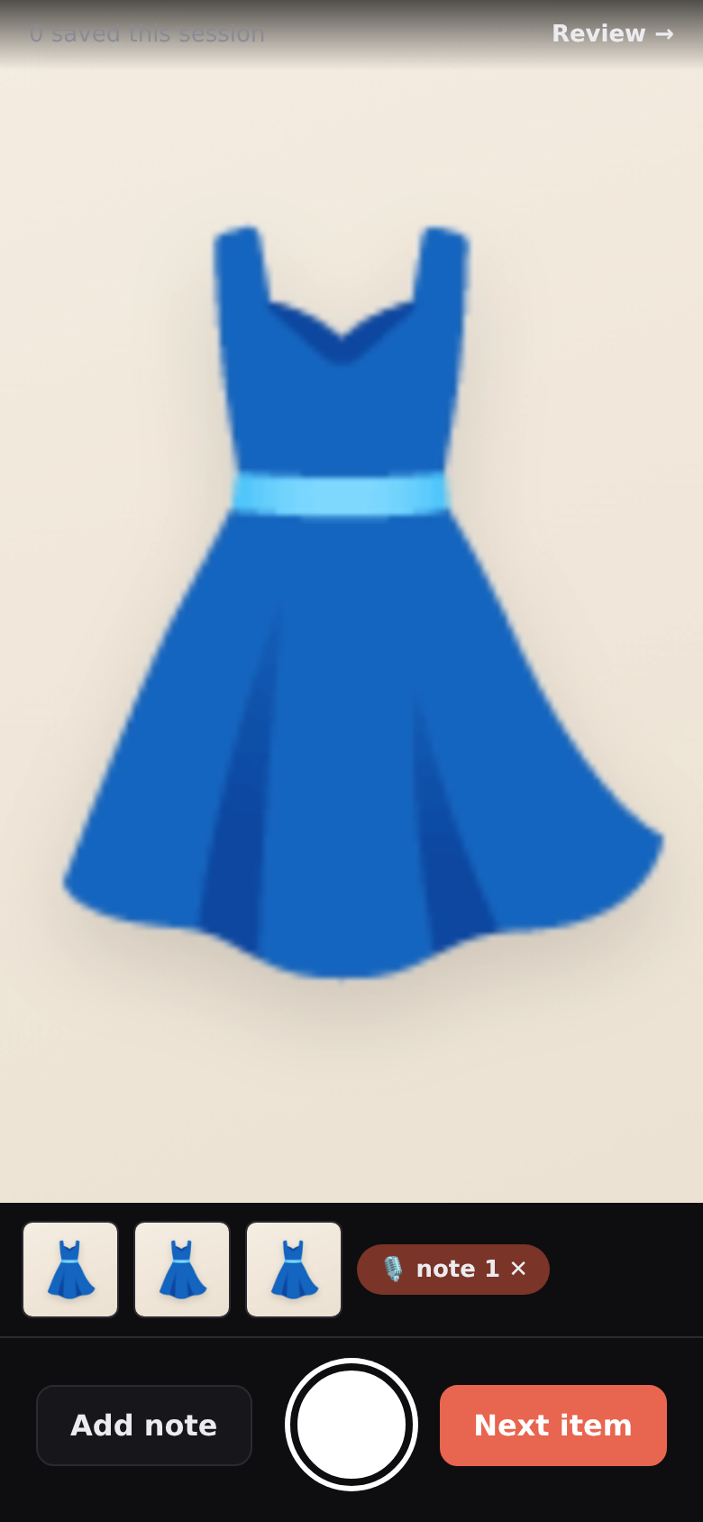 Capture screen: photograph an item and record a voice note